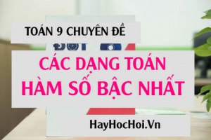 Các dạng bài tập hàm số bậc nhất và Bài tập vận dụng (cực hay) - Toán 9 chuyên đề